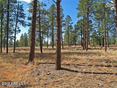 22 Lockett Ranches Flagstaff, AZ 86001 - Photo 13 of 13 Parcel 22 13