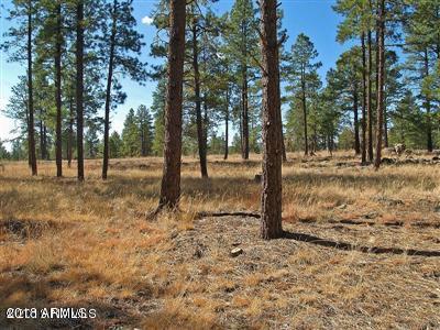 22 Lockett Ranches Flagstaff, AZ 86001 - Photo 2 of 13 Parcel 22 2