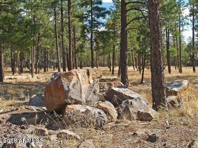 22 Lockett Ranches Flagstaff, AZ 86001 - Photo 3 of 13 Parcel 22 3