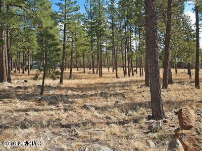 22 Lockett Ranches Flagstaff, AZ 86001 - Photo 4 of 13 Parcel 22 4