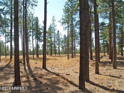 22 Lockett Ranches Flagstaff, AZ 86001 - Photo 5 of 13 Parcel 22 5