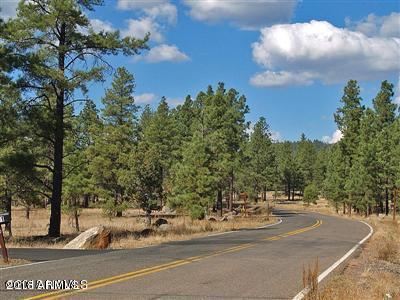 22 Lockett Ranches Flagstaff, AZ 86001 - Photo 6 of 13 Parcel 22 6