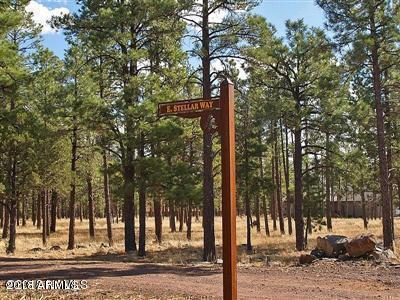 22 Lockett Ranches Flagstaff, AZ 86001 - Photo 7 of 13 Parcel 22 7