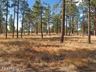 22 Lockett Ranches Flagstaff, AZ 86001 - Photo 8 of 13 Parcel 22 8