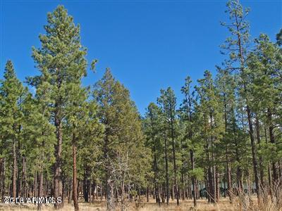 22 Lockett Ranches Flagstaff, AZ 86001 - Photo 9 of 13 Parcel 22 9