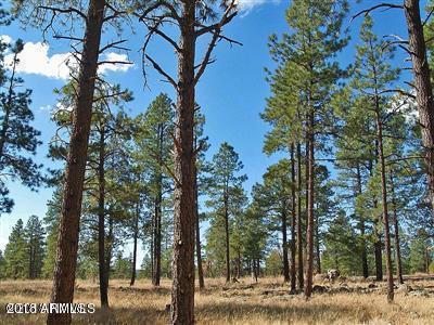 22 Lockett Ranches Flagstaff, AZ 86001 - Photo 10 of 13 Parcel 22 10