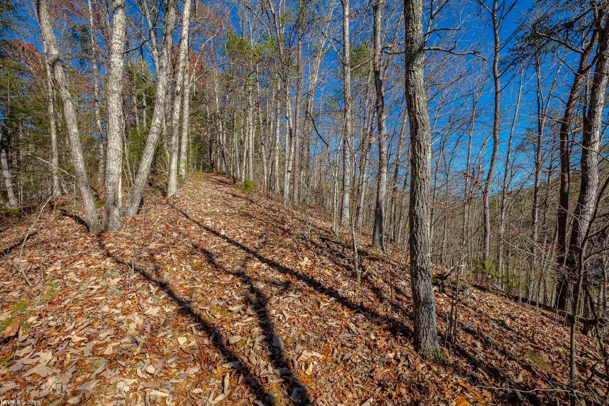 Tbd Mudlick Road Wytheville, VA 24382 - Photo 23 of 44 Gallery Image 23