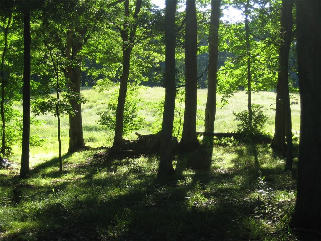 124 Drown Road Pomfret, CT 06259 - Photo 1 of 1 a view of outdoor space and trees