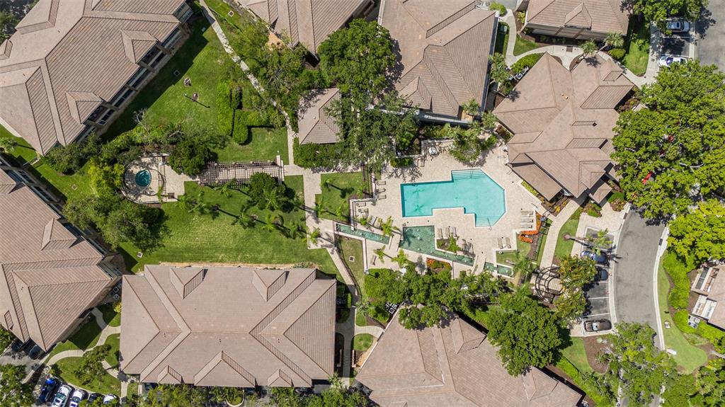 1107 Normandy Trace Road Tampa, FL 33602 - Photo 33 of 36 Drone Pool