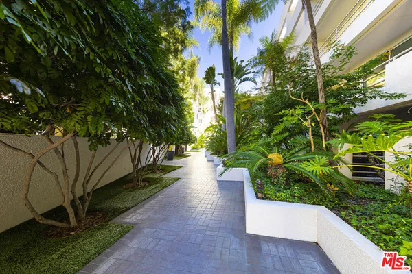 a view of a garden