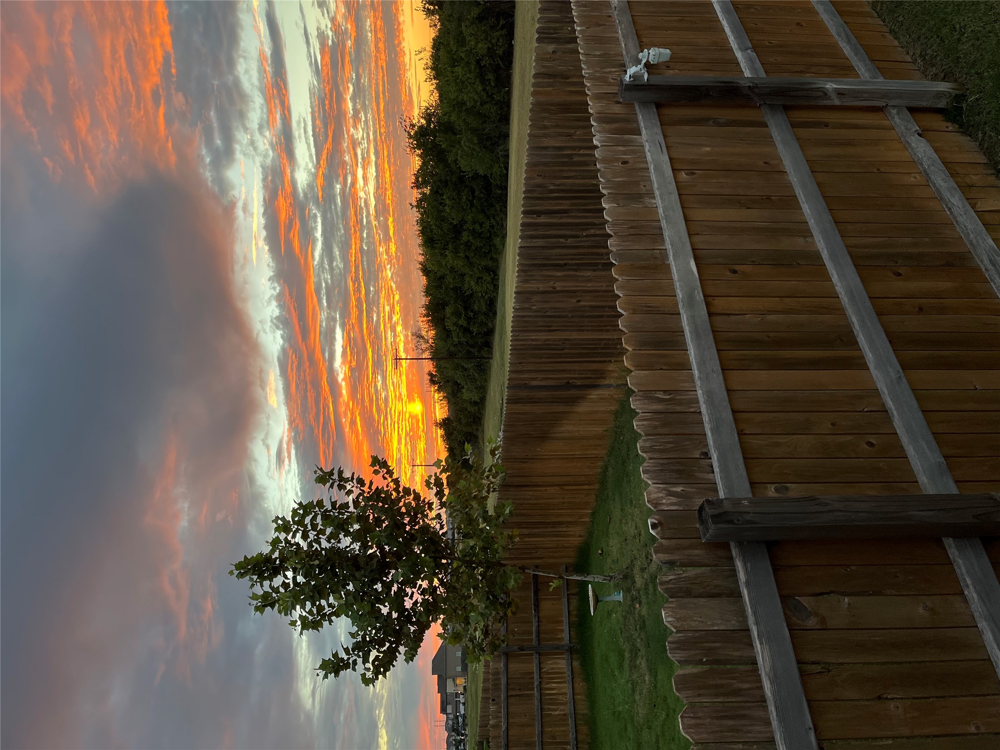 557 Greatest Gift Way Jarrell, TX 76537 - Photo 37 of 39 Yard at dusk with a fenced backyard