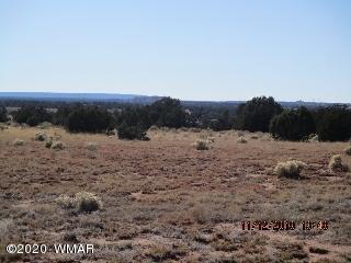 Tbd Ranch Tbd Ranch Concho, AZ 85924 - Photo 1 of 2