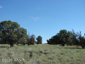 Tbd Ranch Tbd Ranch Concho, AZ 85924 - Photo 2 of 2
