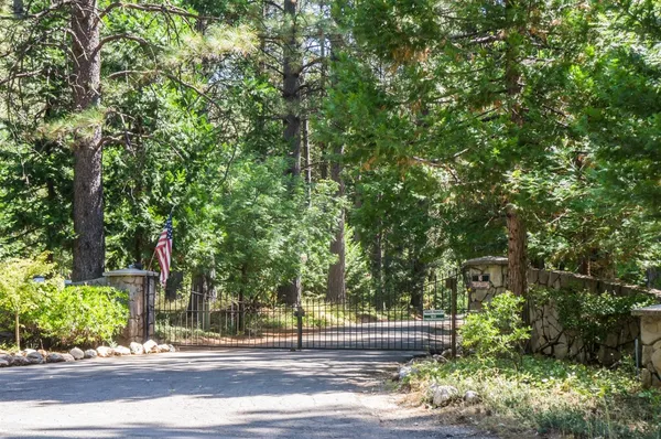 a view of park along trees