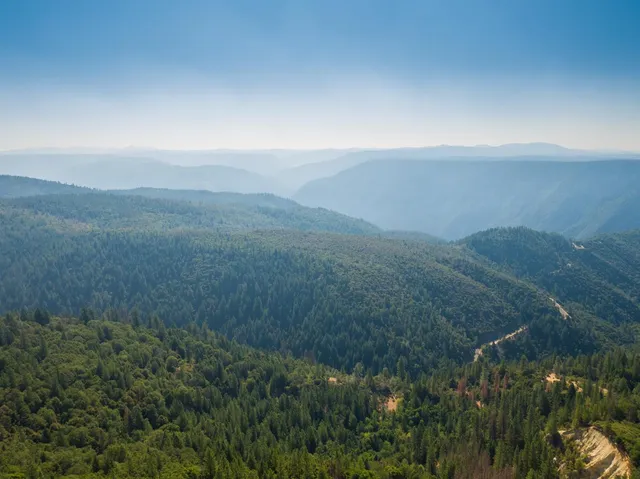 a front view of a house with yard