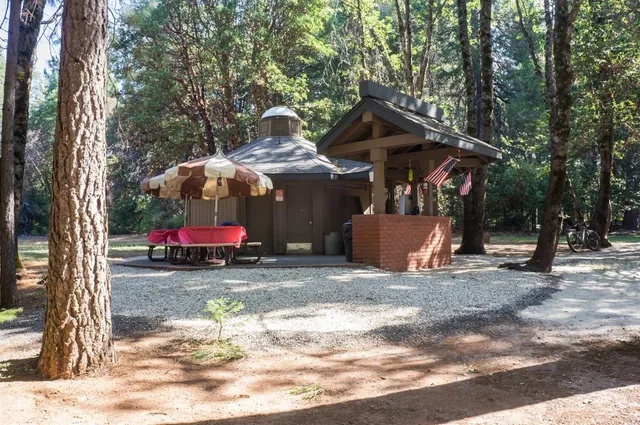 a view of a trees in a yard