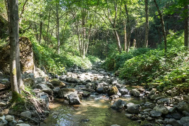 a backyard of a house with lots of green space