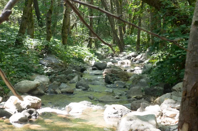 $1,989,874 | 26270 Foresthill Road, Foresthill, CA 95631