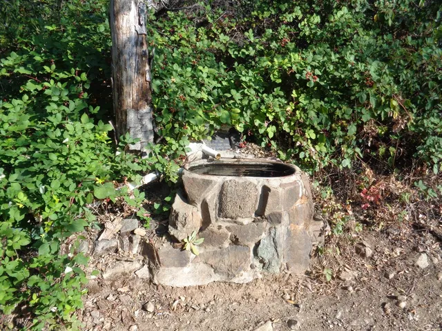 an aerial view of residential house and green space