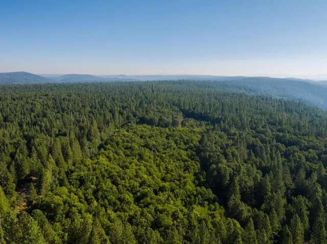 a view of an outdoor space and a yard