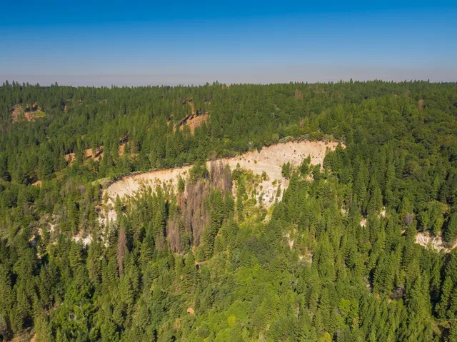 a view of a lush green outdoor space with a lake view