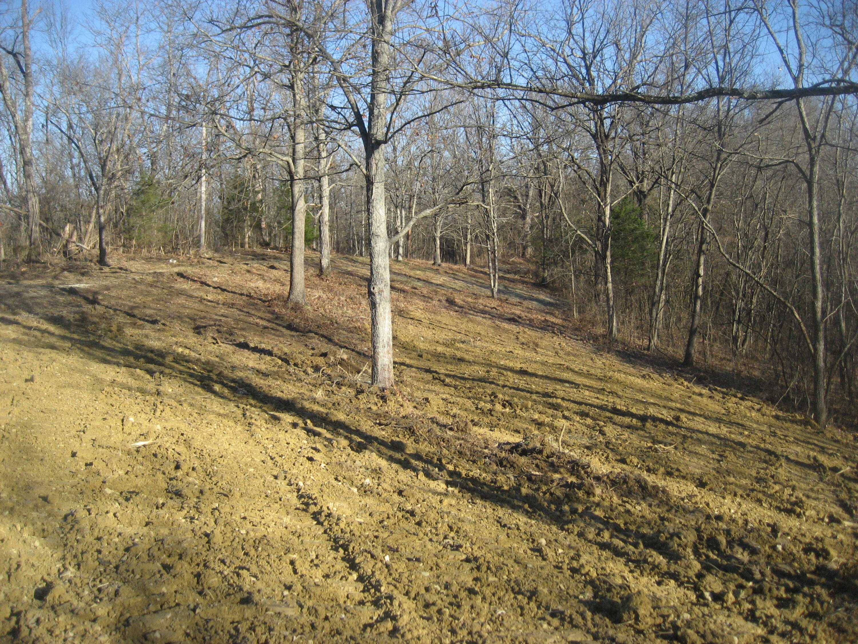 373 Union Ridge Road Frankfort, KY 40601 - Photo 16 of 19 IMG_1328