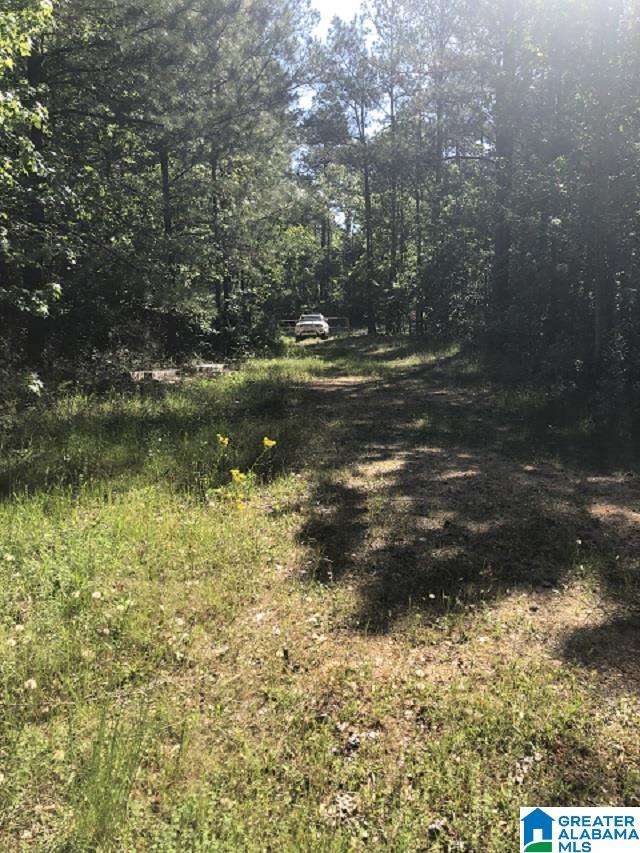 1075 County Road 271, Unit 1 Jemison, AL 35085 - Photo 8 of 8