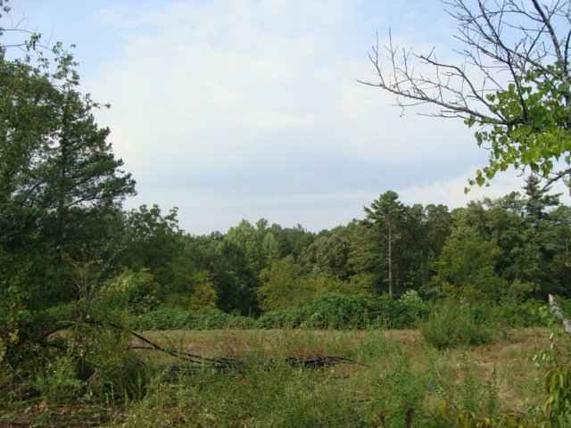 0 Stribling Shoals Road, Unit 2 09 ACRES Walhalla, SC 29691 - Photo 1 of 6 Gallery Image 1