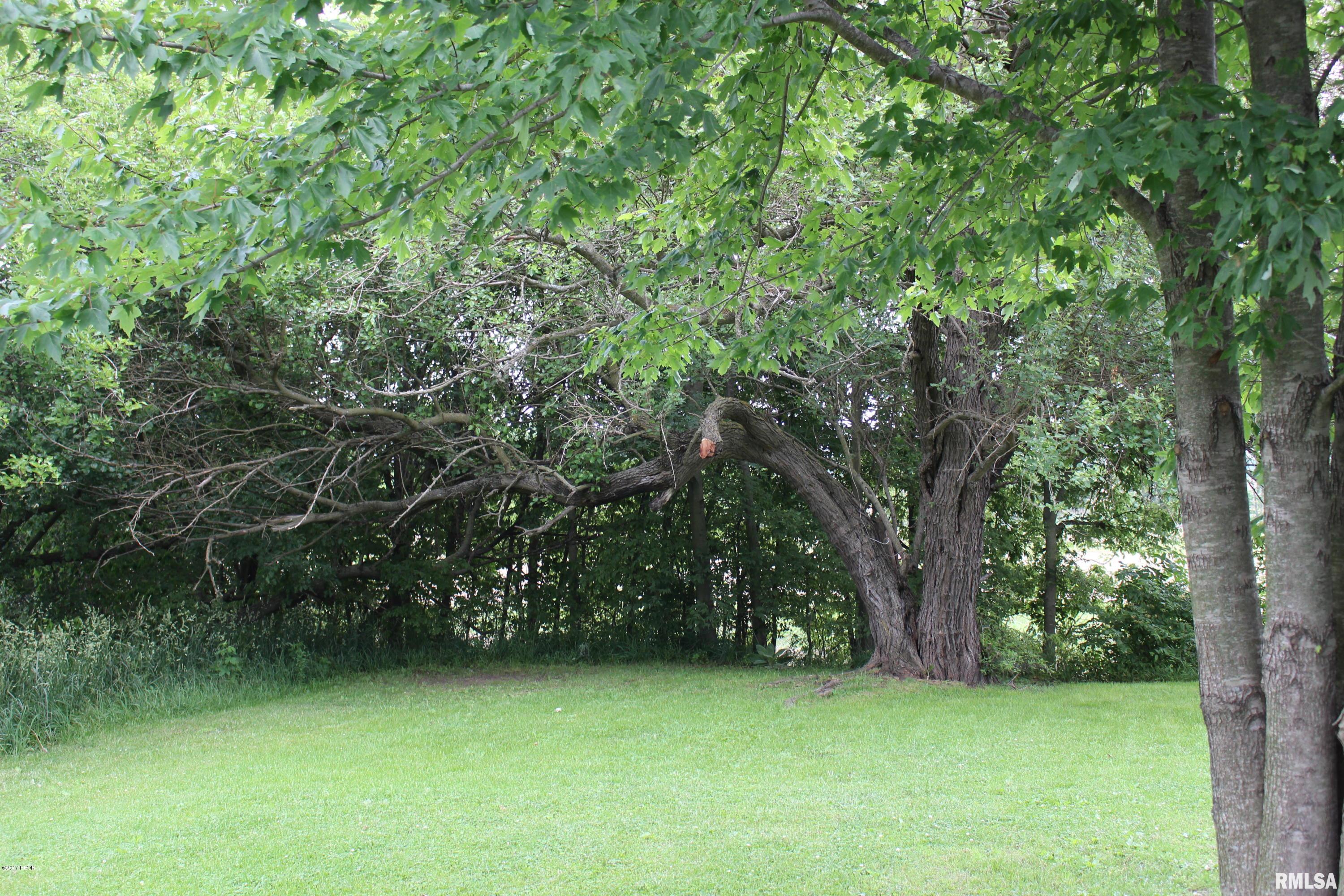 20051 Unity Road Thompsonville, IL 62890 - Photo 36 of 37