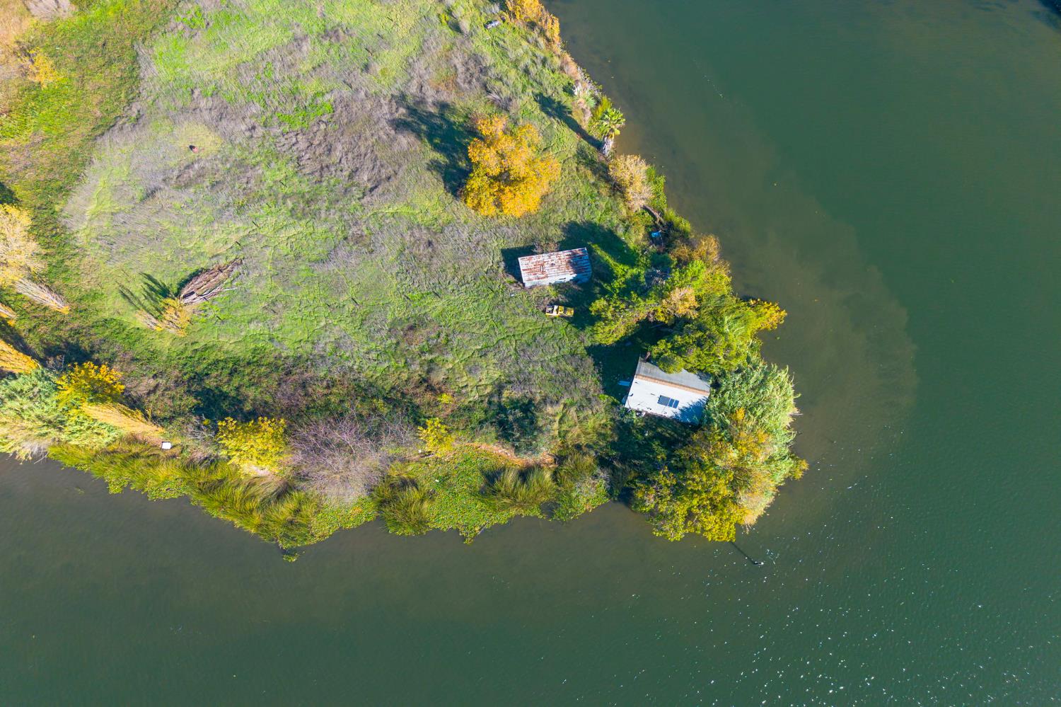 999511 West Rindge Road Stockton, CA 95219 - Photo 16 of 23 a close up of a flower in a garden