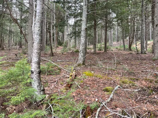 $775,000 | 0 Wood Road, Jefferson, ME 04348