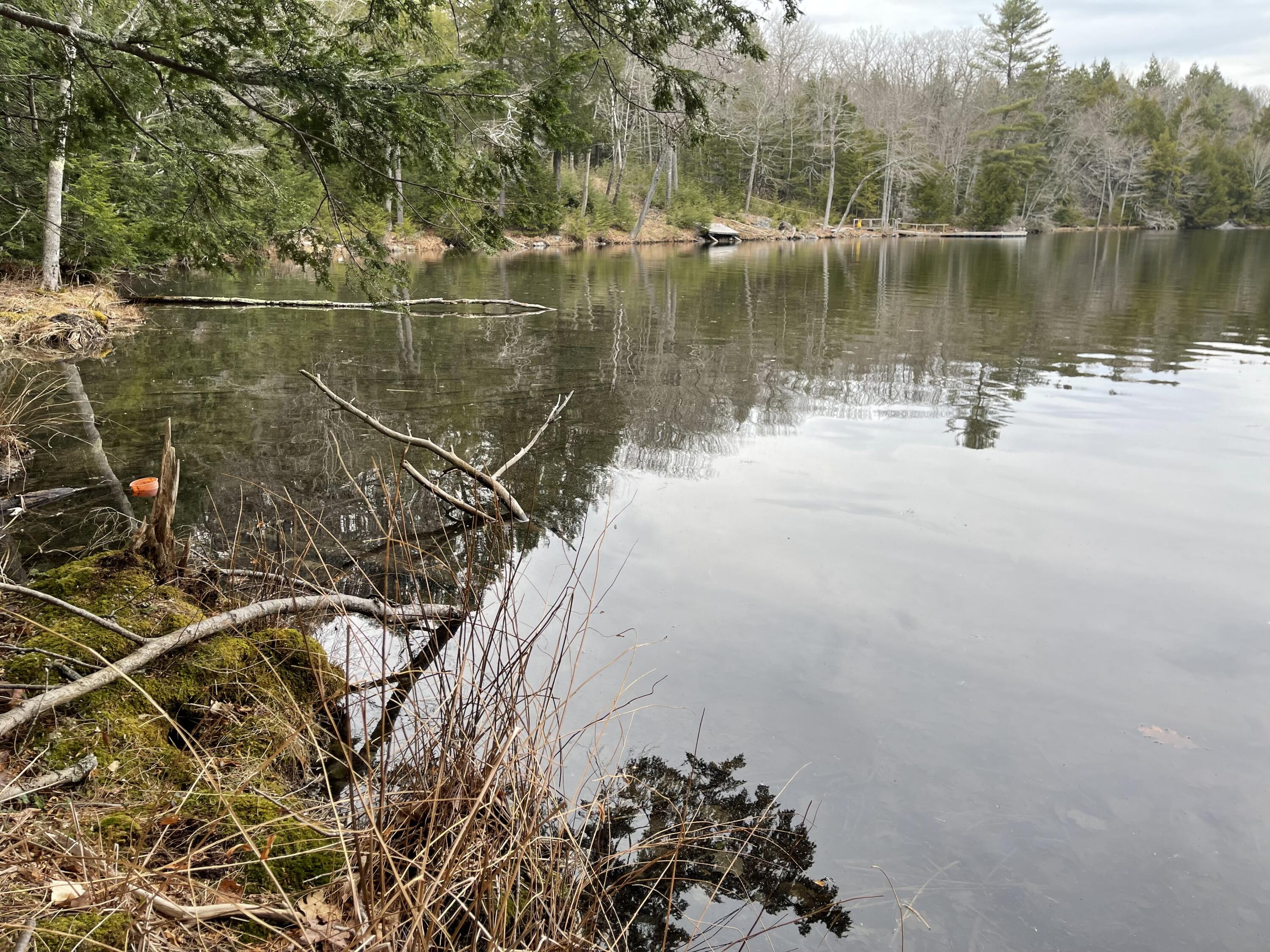 0 Wood Road Jefferson, ME 04348 - Photo 2 of 14 IMG_8245