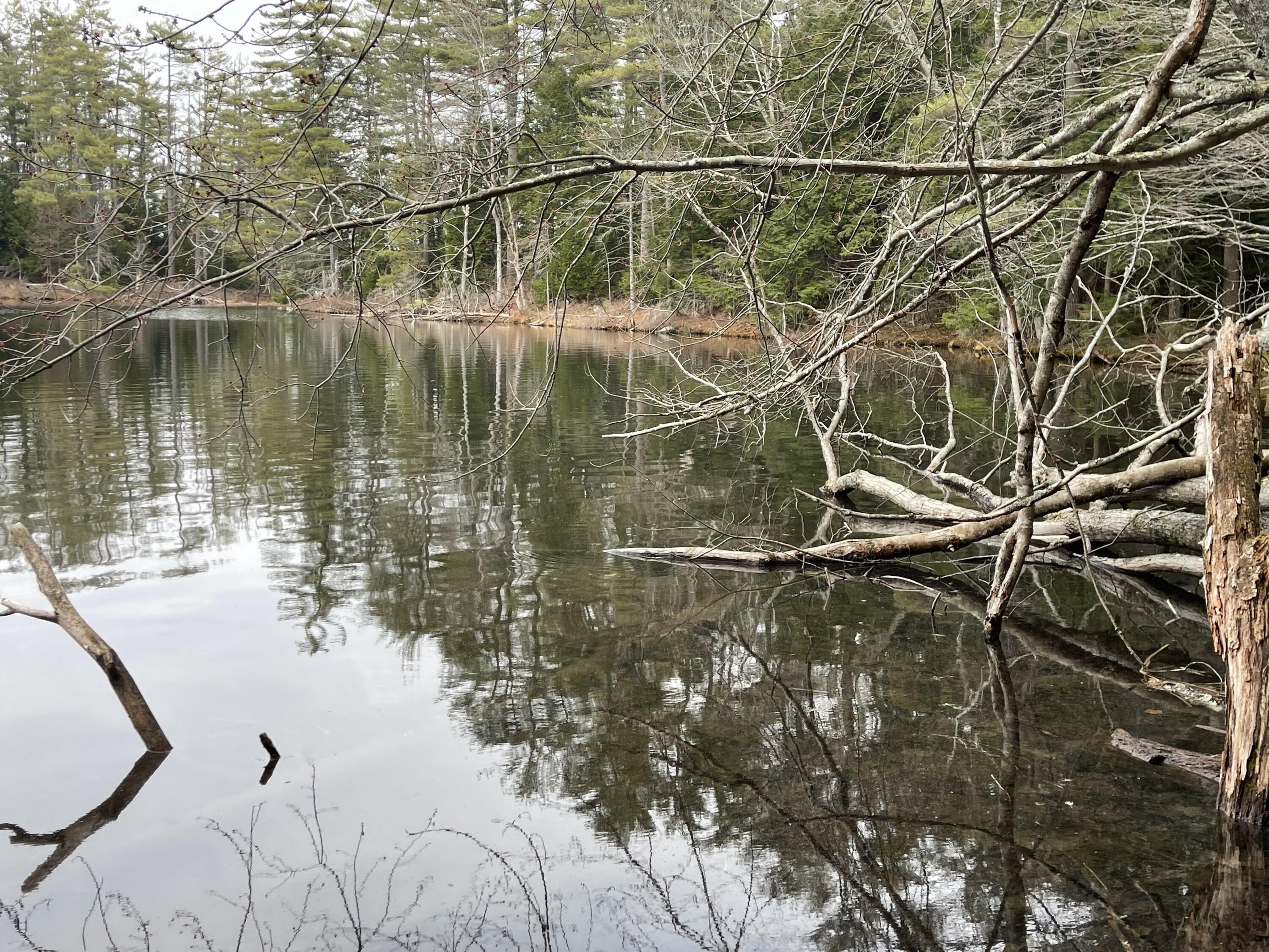 0 Wood Road Jefferson, ME 04348 - Photo 8 of 14 IMG_8252