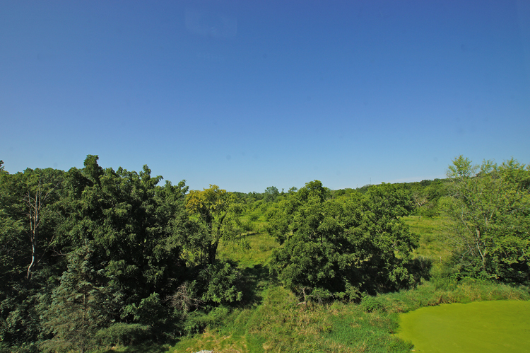 19411 Collins Road Marengo, IL 60152 - Photo 25 of 39 a view of a garden
