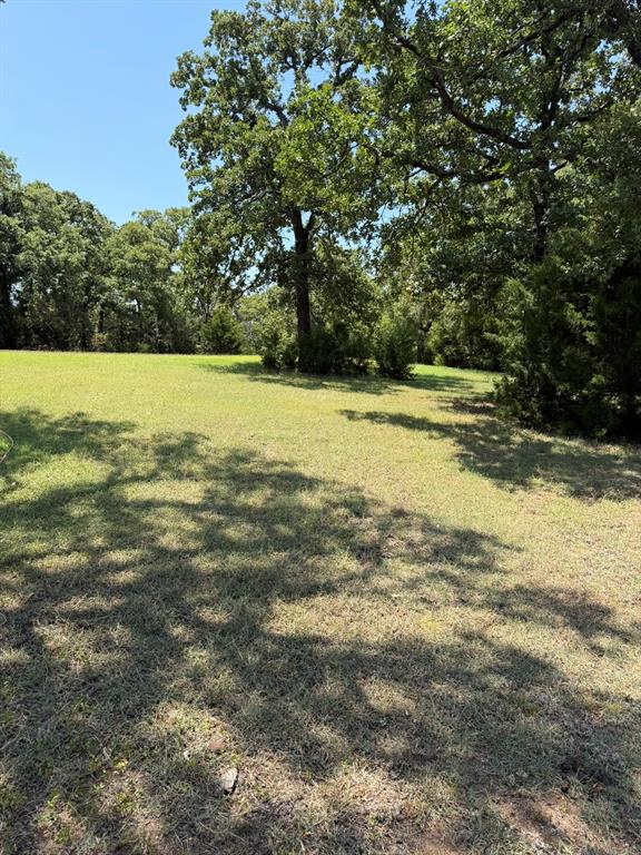 2300 Spring Mountain Road Cross Roads, TX 76227 - Photo 8 of 19 Expansive grassy area with mature trees and natural landscaping