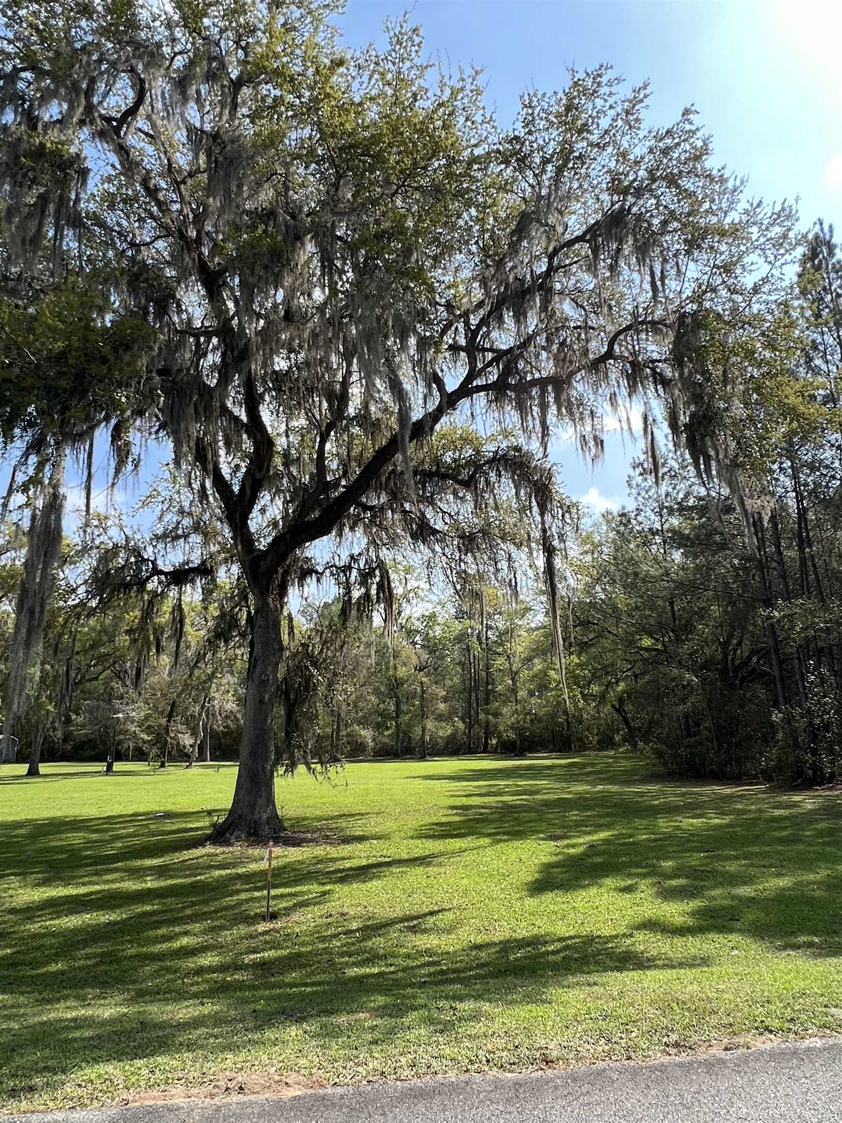 Vacant Southwest Country Club Estates Road Madison, FL 32340 - Photo 11 of 18 Gallery Image 11