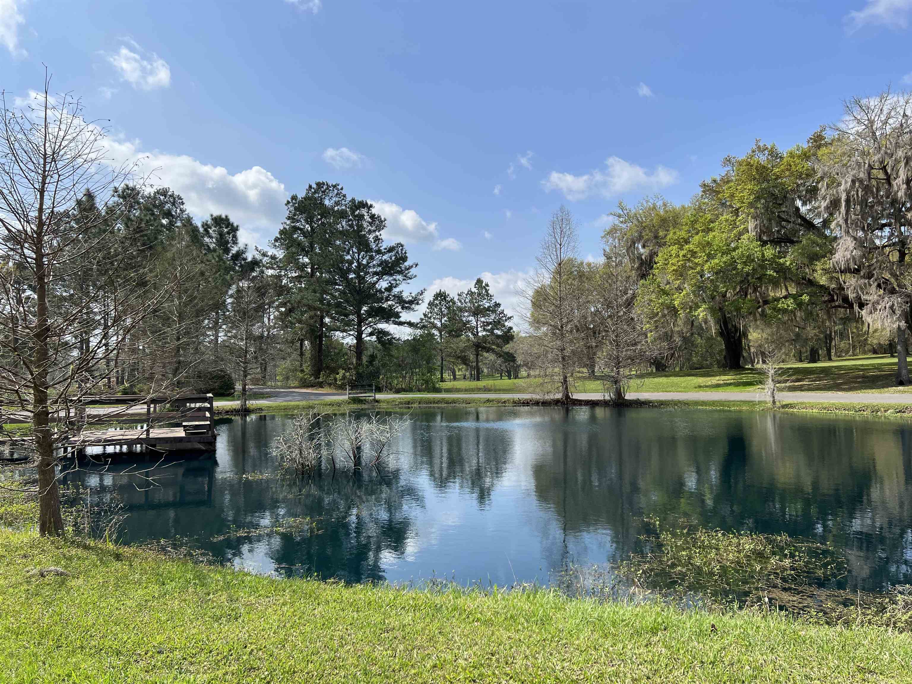 Vacant Southwest Country Club Estates Road Madison, FL 32340 - Photo 7 of 18 Gallery Image 7