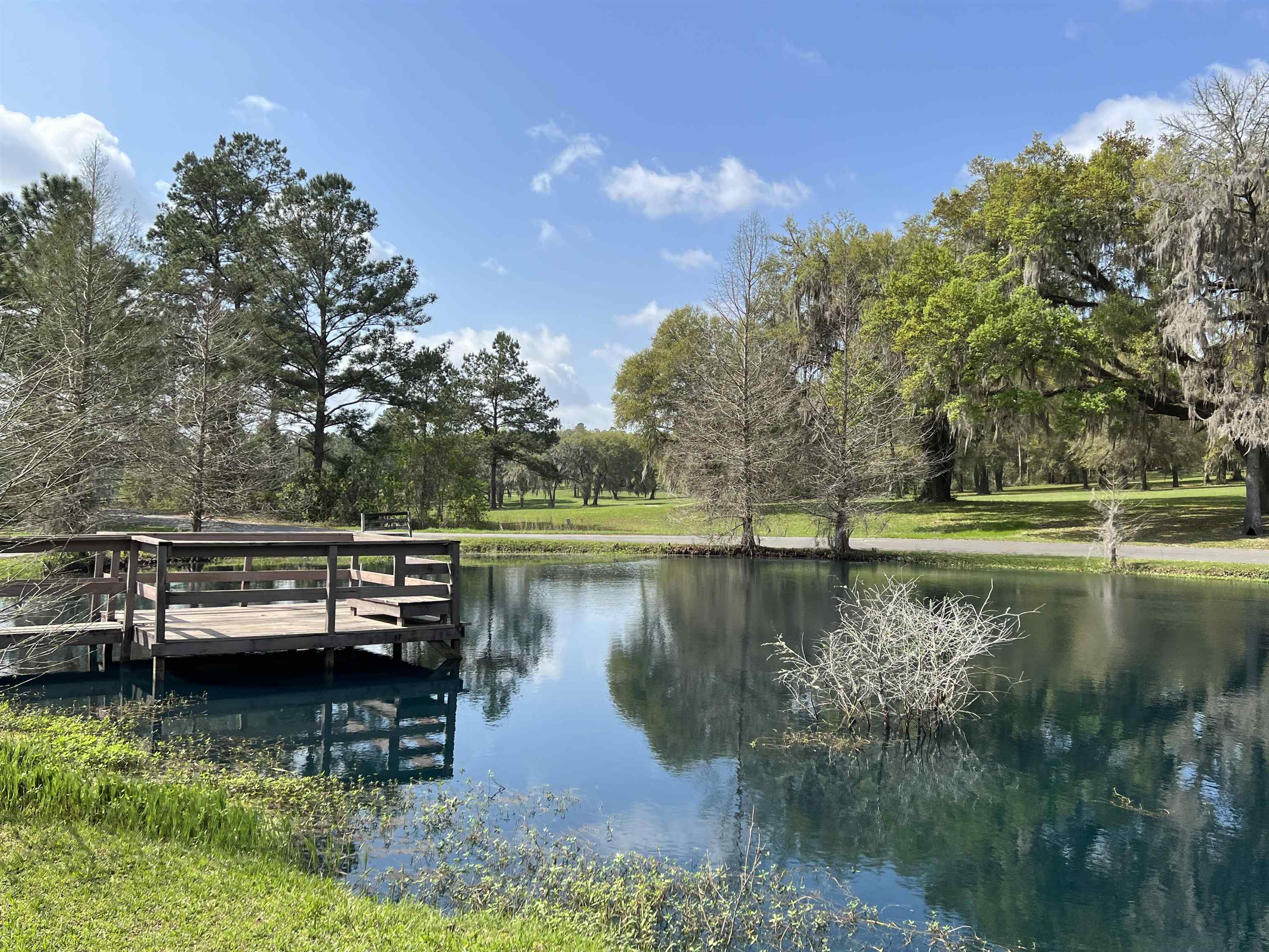 Vacant Southwest Country Club Estates Road Madison, FL 32340 - Photo 8 of 18 Gallery Image 8