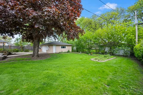 a view of a house with backyard and a tree