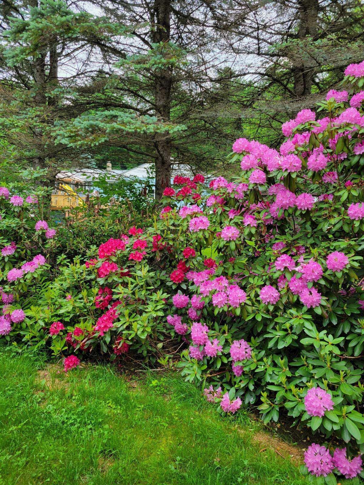 238 Sullivan Road Greene, ME 04236 - Photo 18 of 23 image000000013
