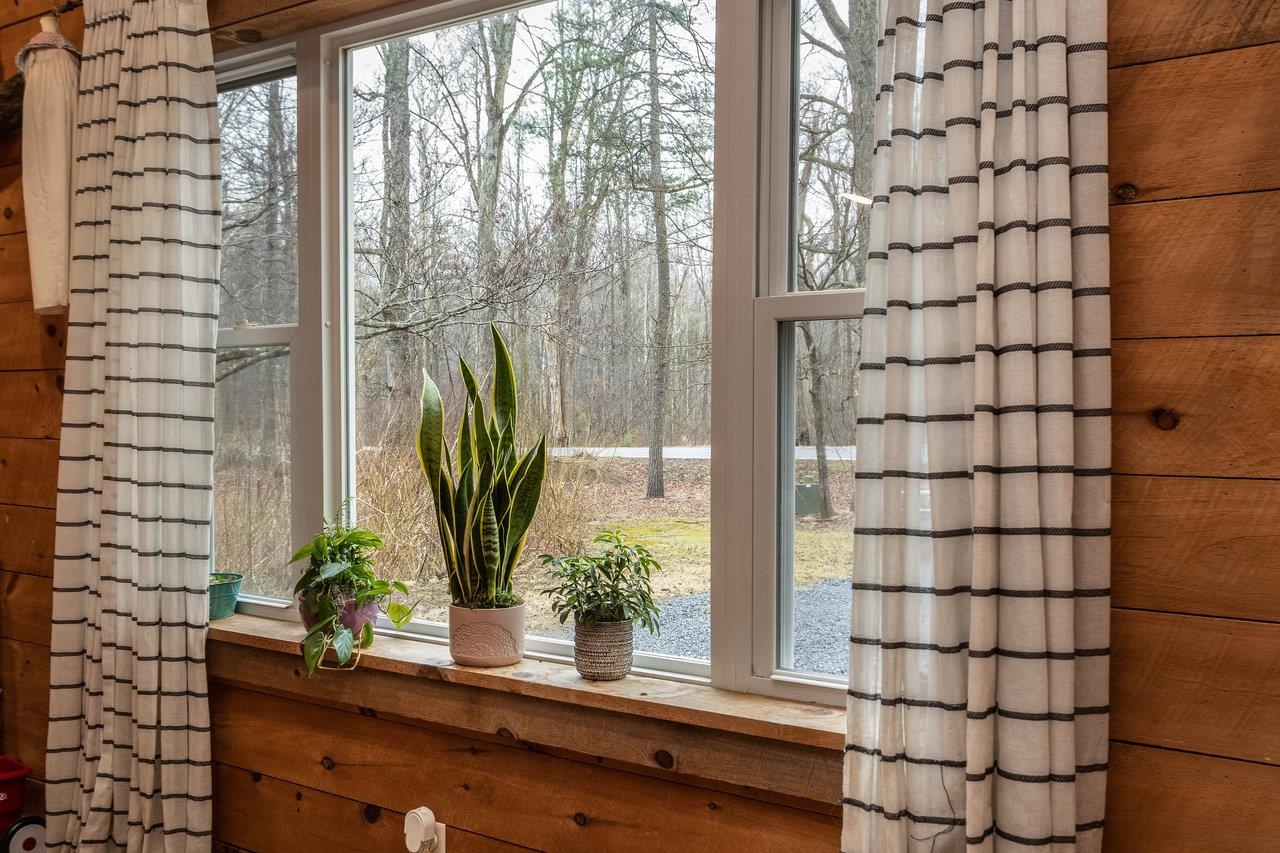8448 Briery Branch Road Dayton, VA 22821 - Photo 16 of 37 a view of a potted plant sitting in front of a window