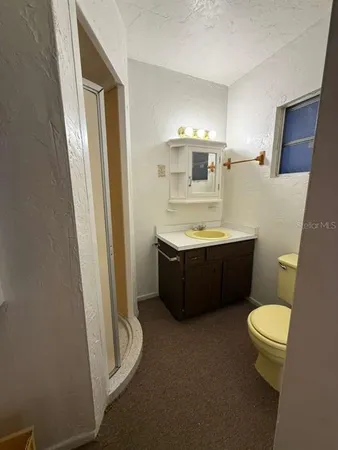a bathroom with a sink a toilet a mirror and shower