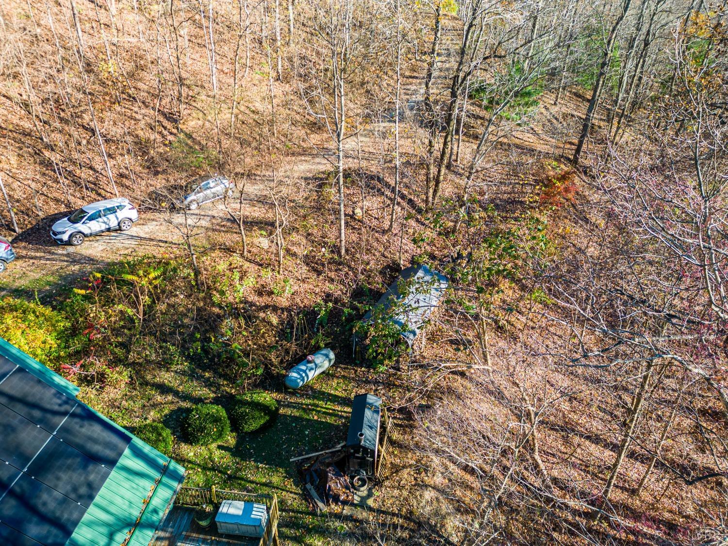 1151 Mt Horeb Road Amherst, VA 24521 - Photo 46 of 98 a backyard of a house with lots of green space