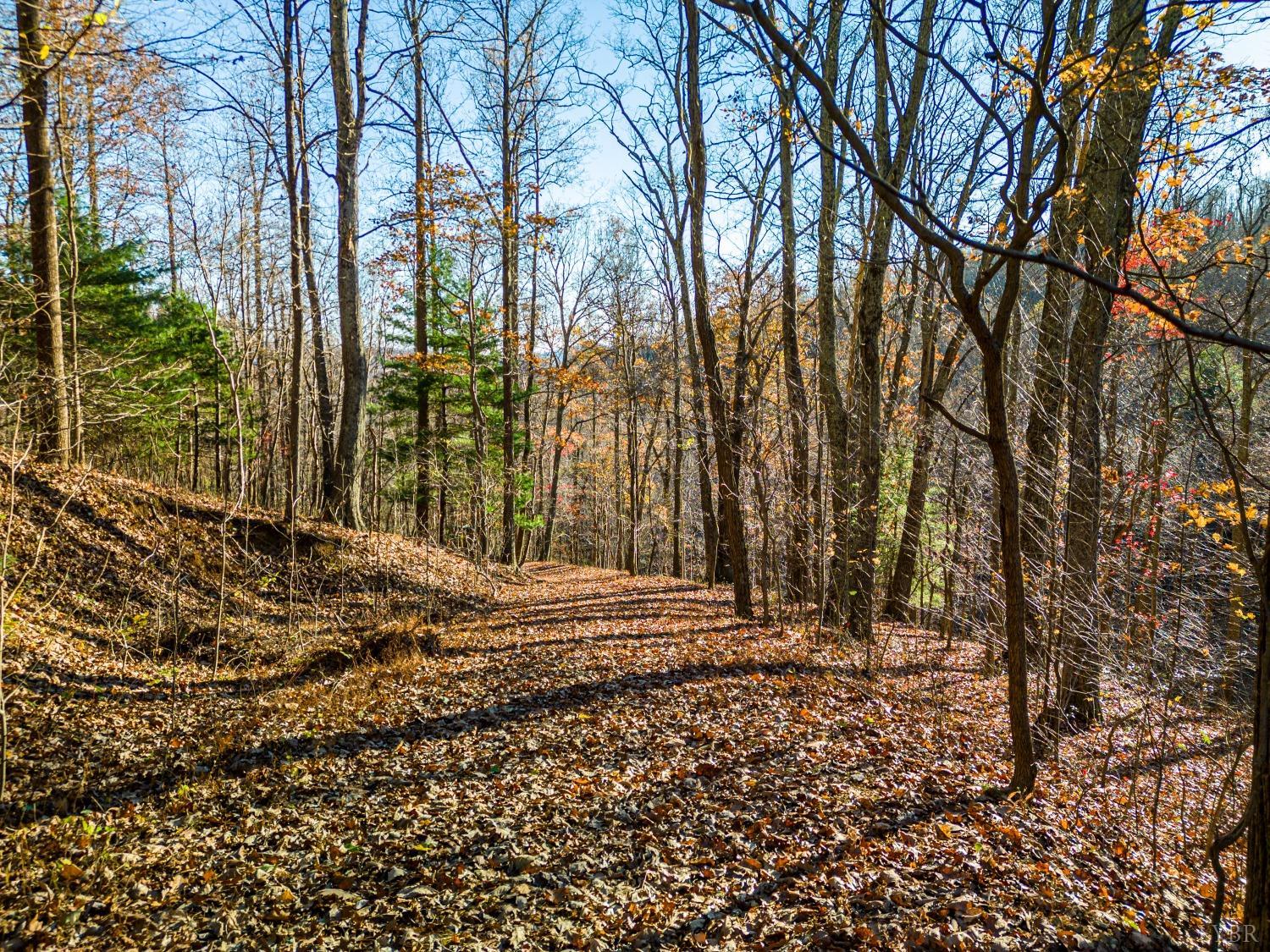 1151 Mt Horeb Road Amherst, VA 24521 - Photo 55 of 98