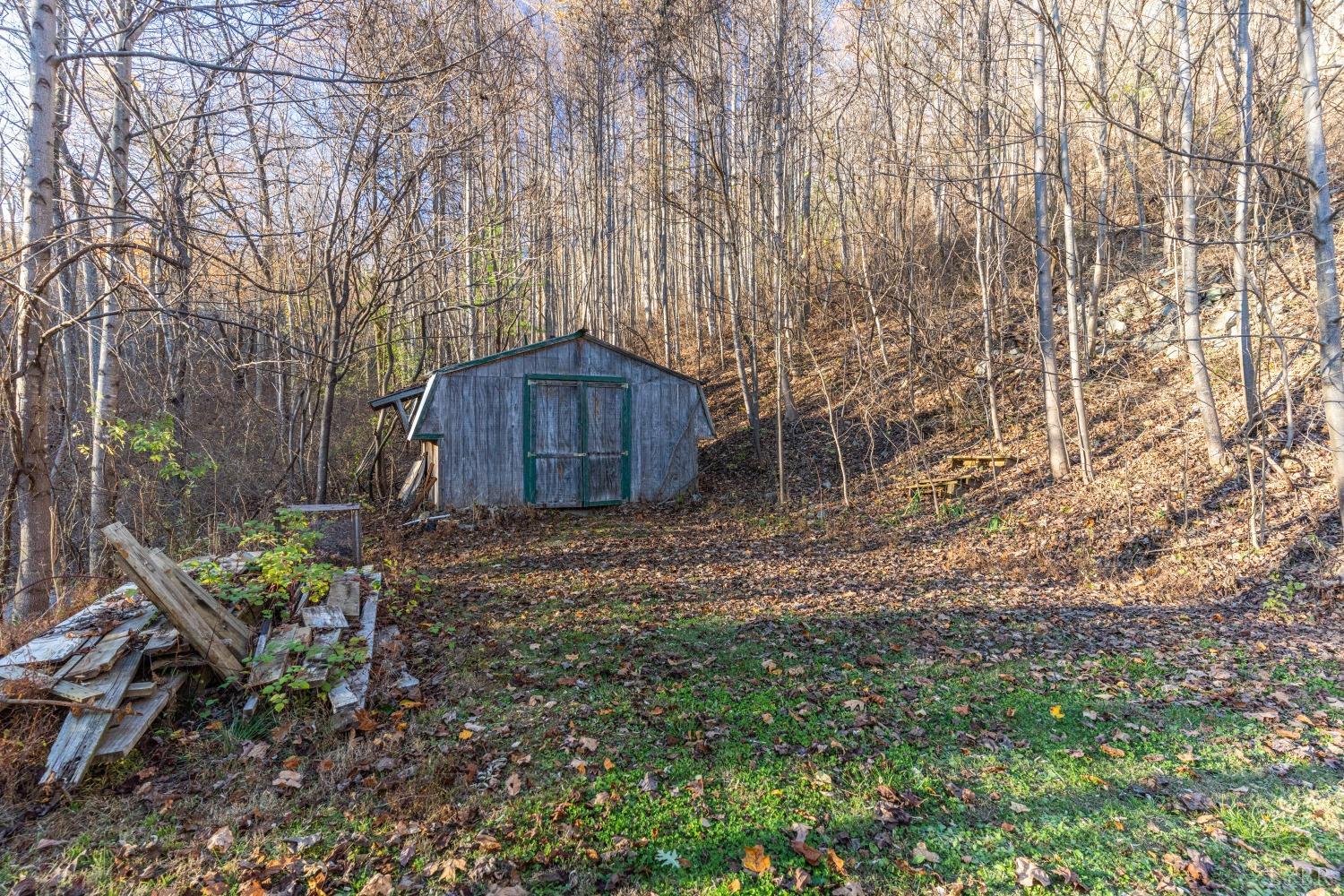 1151 Mt Horeb Road Amherst, VA 24521 - Photo 81 of 98 a backyard of a house with lots of green space