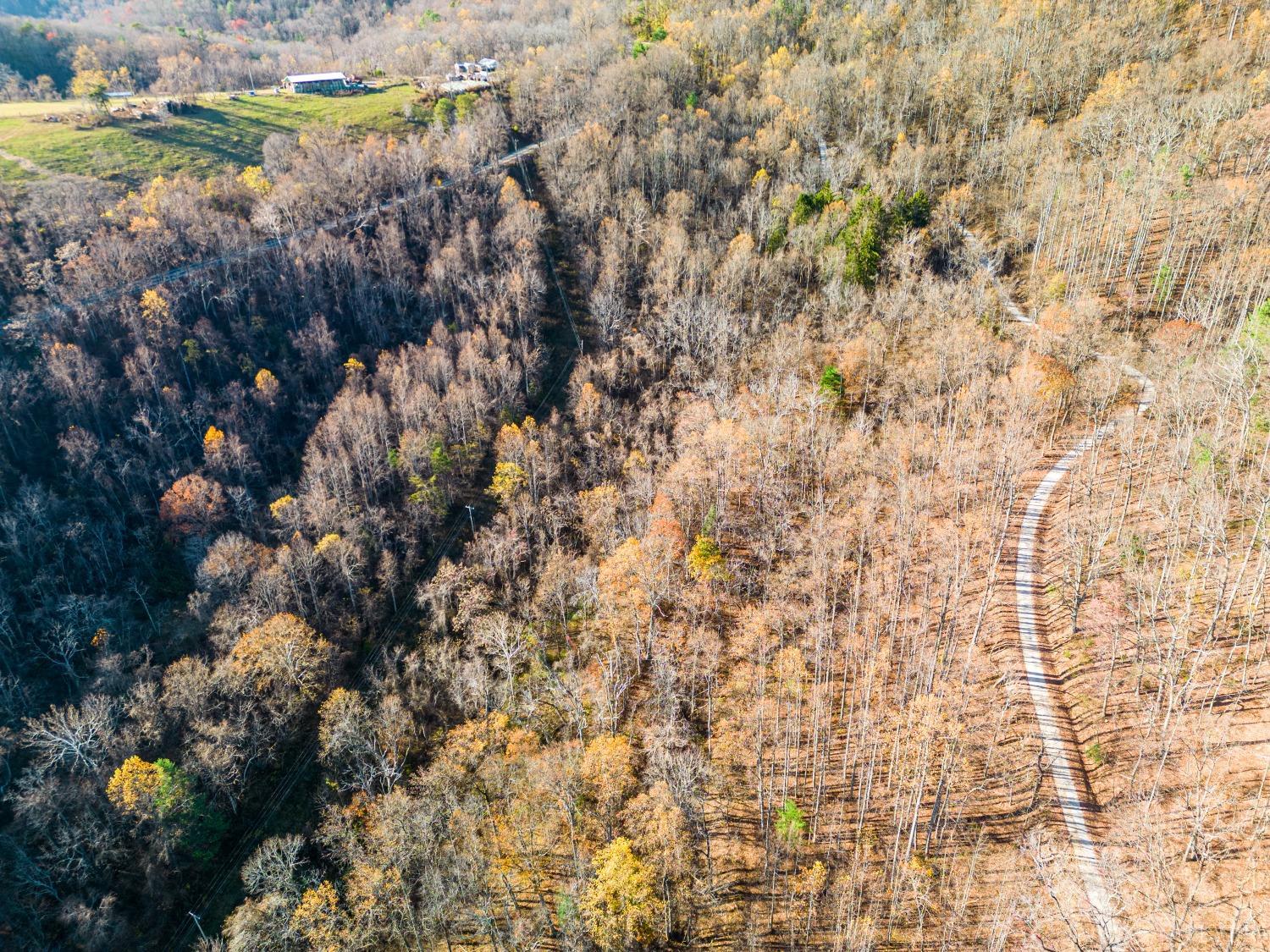 1151 Mt Horeb Road Amherst, VA 24521 - Photo 86 of 98