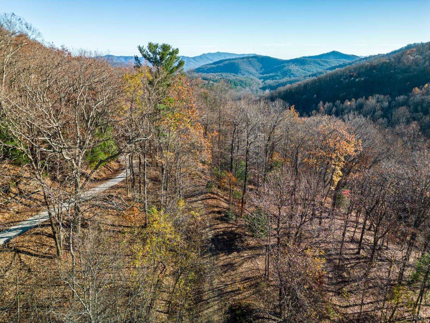 1151 Mt Horeb Road Amherst, VA 24521 - Photo 96 of 98
