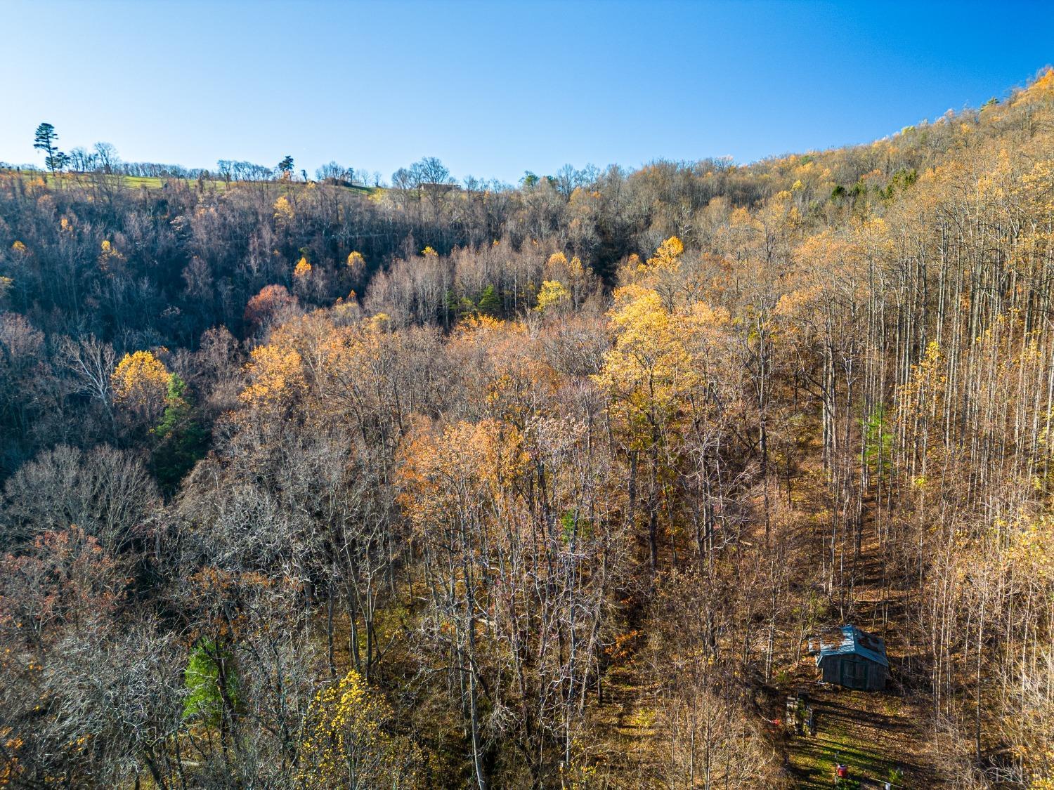 1151 Mt Horeb Road Amherst, VA 24521 - Photo 98 of 98