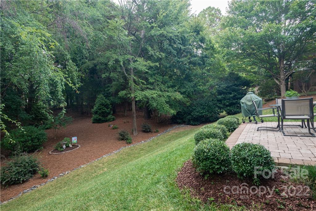 110 Mills Lane Fort Mill, SC 29708 - Photo 26 of 37 a backyard of a house with a yard and seating space