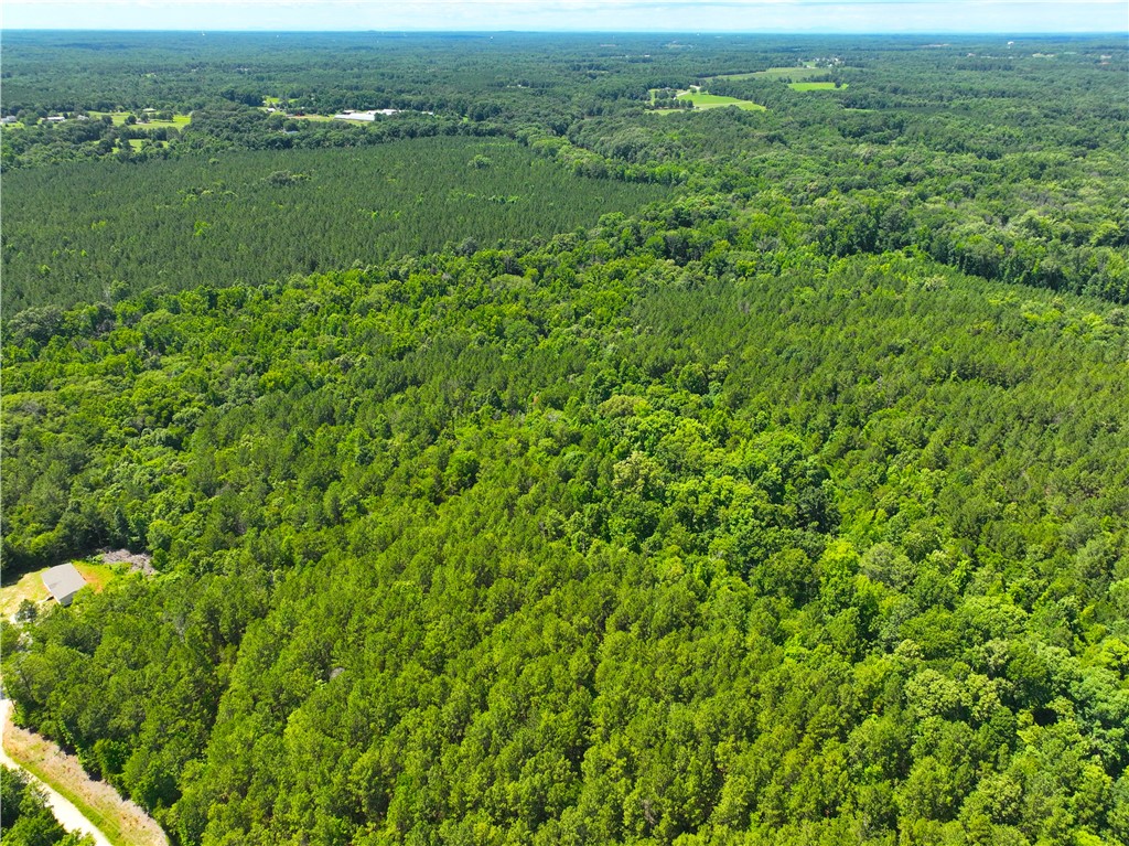 401 Coleman Road Clinton, SC 29325 - Photo 8 of 25